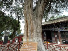 -玉泉观