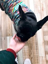 -U3日式美甲美睫