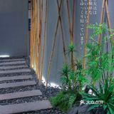 藏在南头古城的独栋日料（1/50）