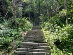 -汤旺河林海奇石景区