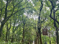-虞山风景区