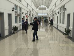 -中加枫华国际学校