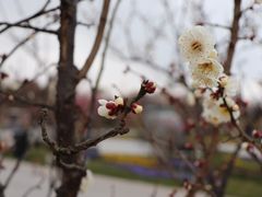 景点-上海海湾国家森林公园