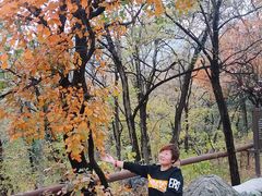 -阳台山自然风景区