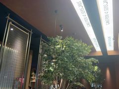 -同仁四季椰子鸡(海岸城天利店)