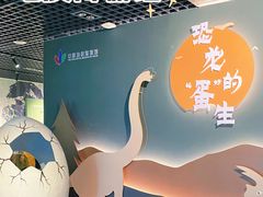 -中国地质博物馆