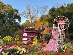 -上海共青森林公园