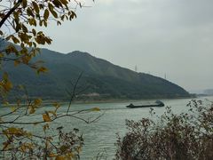 -羚羊峡古栈道森林公园