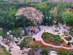 -淄博聊斋城景区