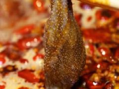 -老码头火锅(玉林店)