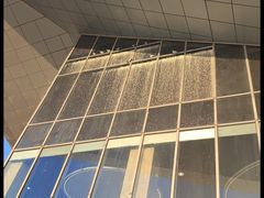 -盐城丹顶鹤湿地生态旅游区