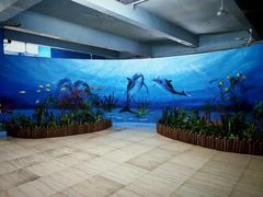 -泉州海丝野生动物世界