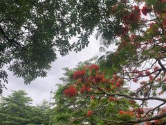 -中国客家博物馆