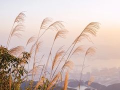 -梅沙尖