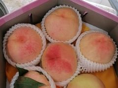 -南汇水蜜桃采摘(大团店)