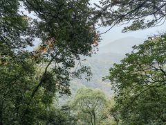 -青城山