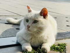 -北京鲁迅博物馆(北京新文化运动纪念馆鲁博馆区)