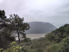 -铁山坪森林公园