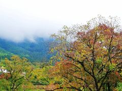 -塔川景区