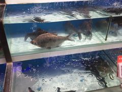 -盒马鲜生(红莲店)