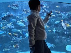 -海合安成都极地海洋公园