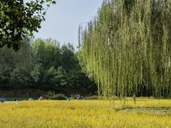 -北坞公园