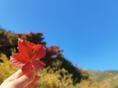 -北京西山国家森林公园