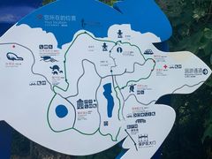 -广东惠东海龟国家级自然保护区