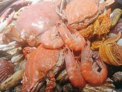 -倍儿美海鲜大排挡·非遗海鲜蒸饺(洋货店)