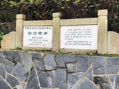 -白沙古井