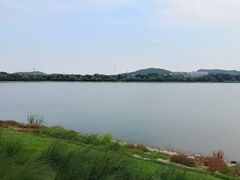 -羊山湖公园