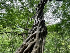 -辋川溶洞