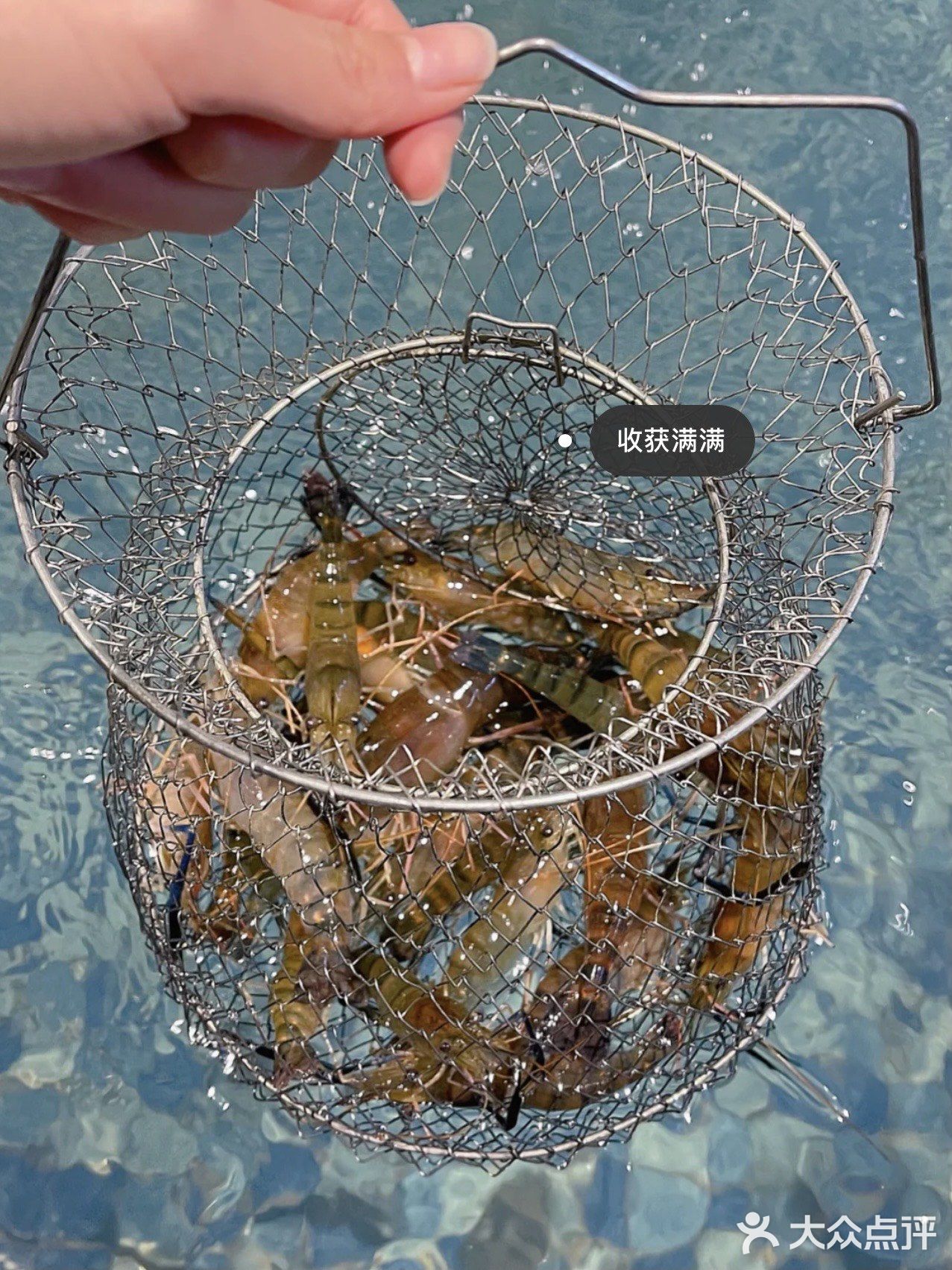 东莞探店｜周末好去处｜东莞游玩｜室内钓虾🍤