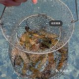东莞探店｜周末好去处｜东莞游玩｜室内钓虾🍤
