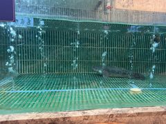-鱼你相聚·河鲜馆(袁家岭店)