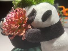 -许家菜(DT51店)
