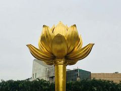 -金莲花广场