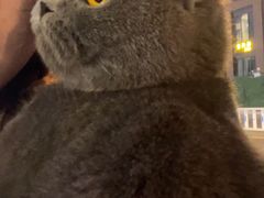 -芭比堂爱心动物医院·心脏科·犬猫内科(越城可乐分院)