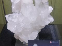 -中华赏石园