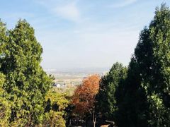 -北京鹫峰国家森林公园