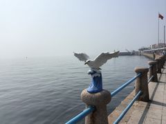 -五四广场