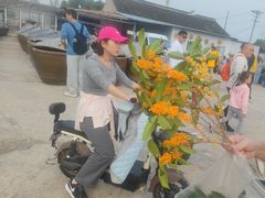 -苏州市吴中区光福窑上花果蜜饯厂