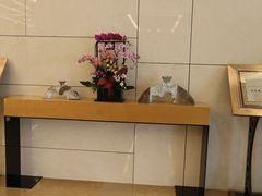 -国家会议中心大酒店