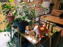 -柴务处·柴犬主题狗咖