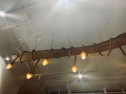 -花间禅净·瑜伽