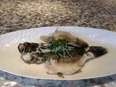 -临江宴(陆家嘴店)