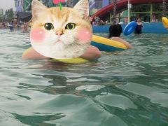-沈阳龙润夏宫温泉水乐园
