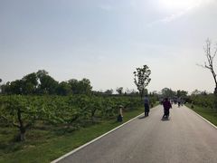 -习仲勋故居
