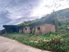 -东极岛景区