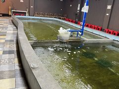 -光头佬室内钓虾场·烧烤·团建·亲子(中山八路店)
